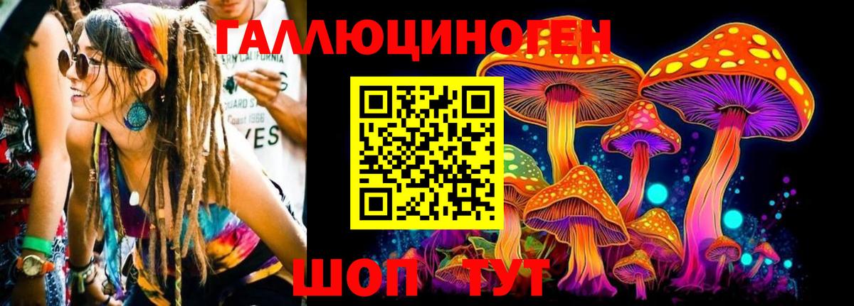 Дальнереченск  Псилоцибиновые грибы мицелий  Псилоцибиновые грибы ЛСД  Вход с VPN 